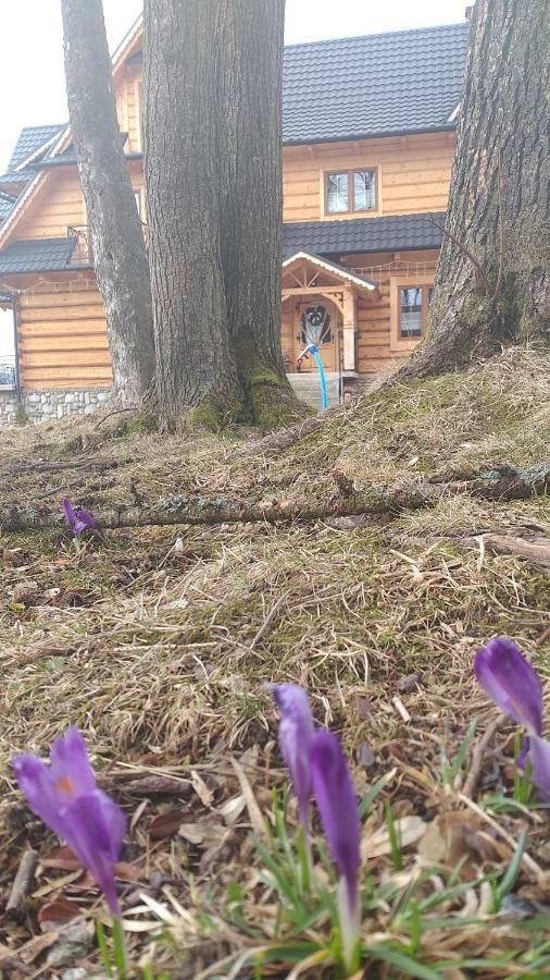 Domek, Apartamenty I Pokoje Willa Elita Косцелиско Экстерьер фото
